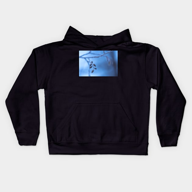 Frost Kids Hoodie by jvnimages